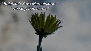 Wo Ke Yi Bao Ni Ma - Bolehkah Saya Memelukmu