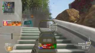 Fatality Black Ops 2 Minitage