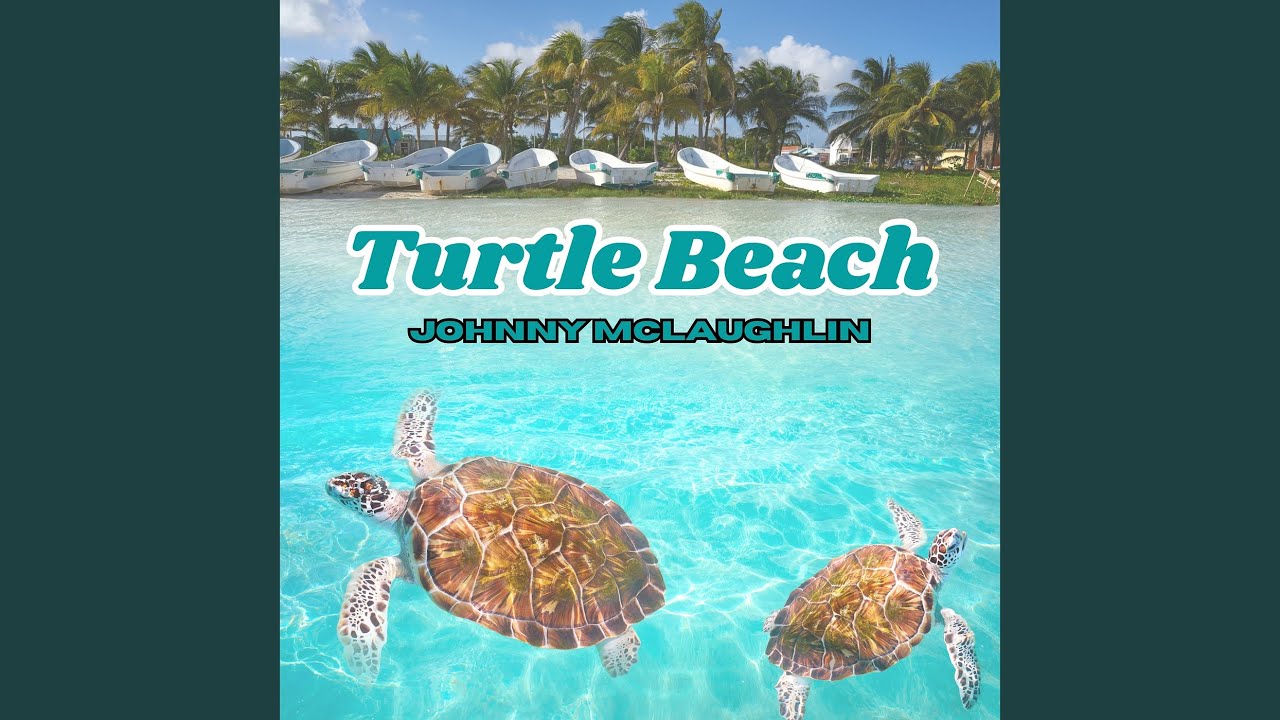 Watch Turtle Beach on YouTube Watch Turtle Beach on YouTube