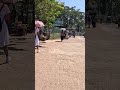 Walking to the Bus Stop 🇱🇰 | Real Sri Lanka Life
