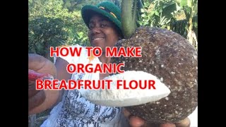 HOW TO MAKE THE BEST ORGANIC BREADFRUIT FLOUR AT HOME - COUNTRY LIVING