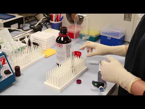 Fecal Extraction Demo - Arbor Assays - video from Arbor Assays