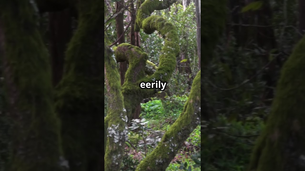 The World’s Strangest Locations