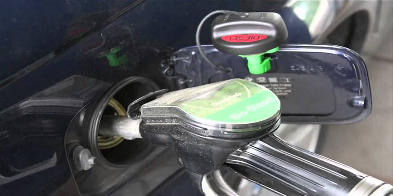 Ron & Fez - New Pepper Theme Songs (