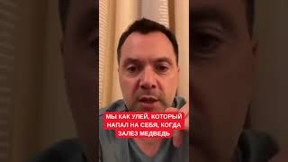 Арестович: Мы Имели Крокодила По Соседству И 33 Года Сливали Собственную Армию В Унитаз