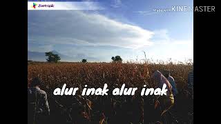 Story wa anak petani irok asek