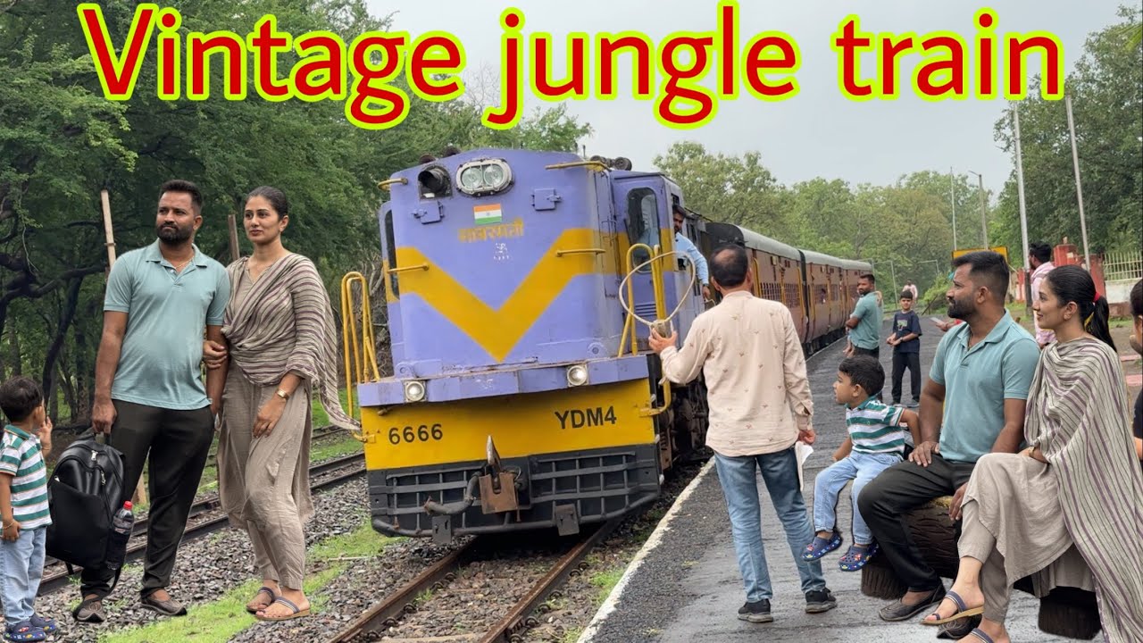 Pehli baar vintage jungle train ka safar  #vintage