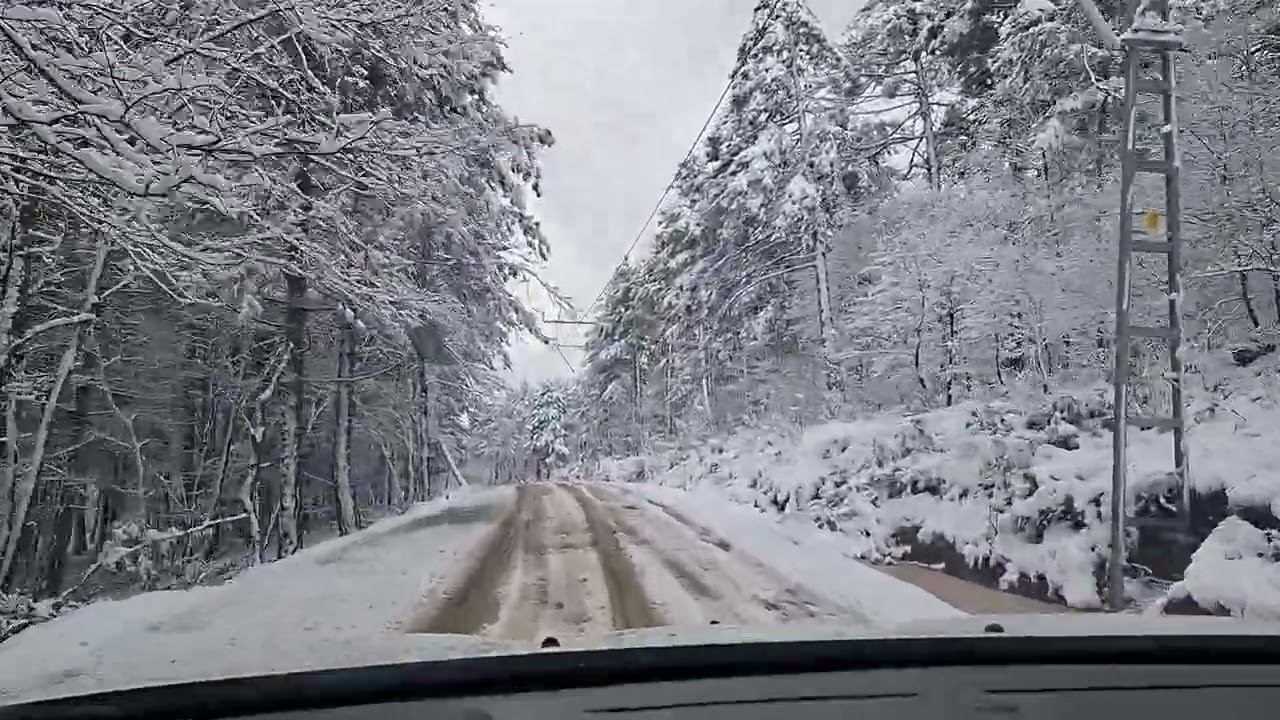 YALOVA/ARMUTLU/ÇADRA KÖYÜ 