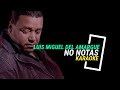 Luis Miguel Del Amargue no notas Karaoke
