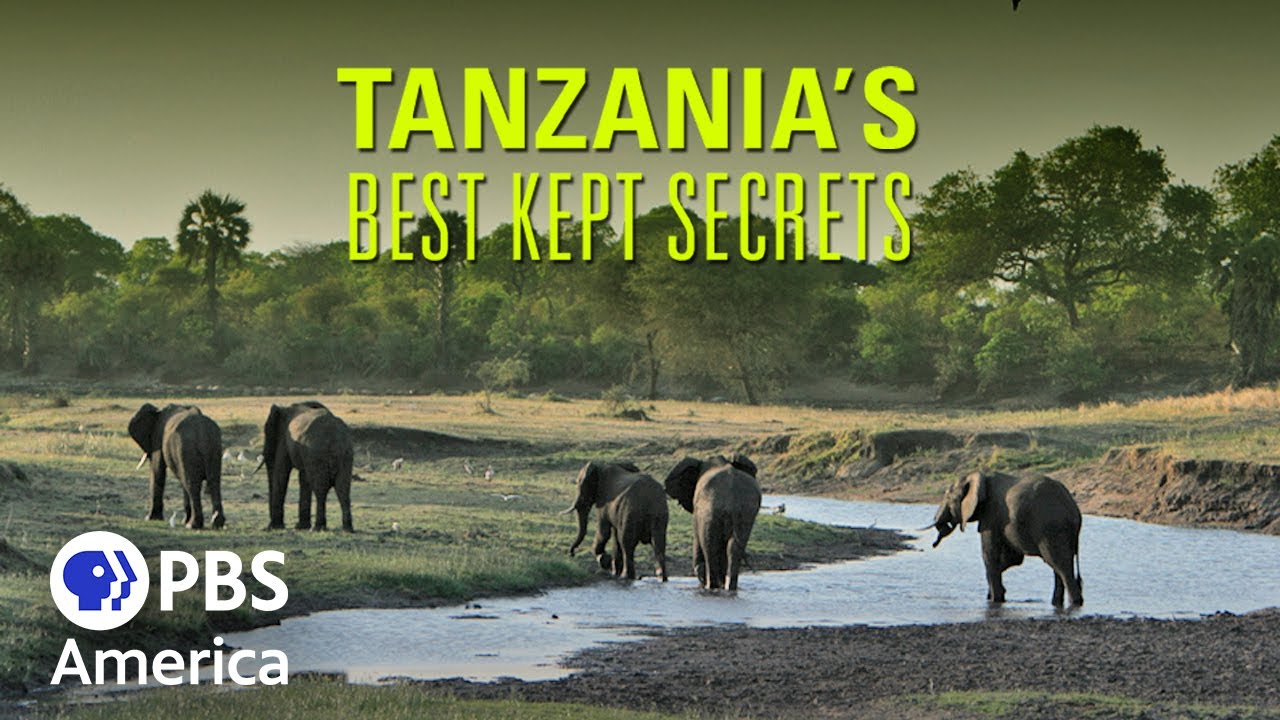 Tarangire National Park, Tanzania  [Amazing Places 4K]