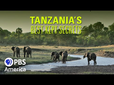 Video: Tarangire National Park: The Complete Guide