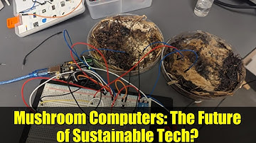 Mushroom Computers: The Future of Sustainable Tech? | Living Memory Devices Explained