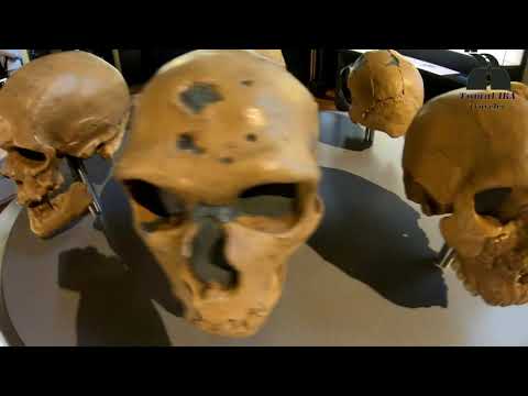 Video: Naturhistorisches Museum von Los Angeles County