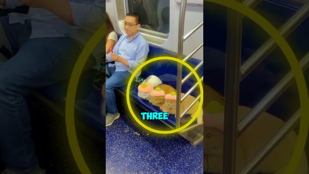 You see a lot of crazy things on the New York subway, but this has to be the cutest thing ever.