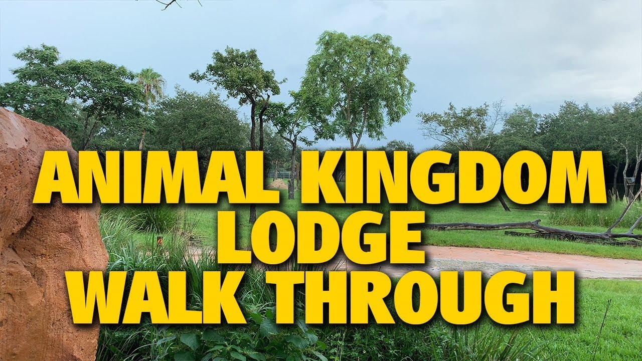 Animal Kingdom Lodge Villas At Walt Disney World Resort Wdwinfo Com