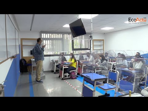 Vidéo: Facility Dog accueille les élèves du primaire à la rentrée scolaire