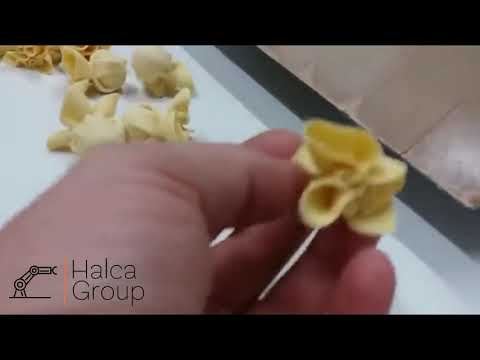 ნახევარფაბრიკატების საწარმოო დანადგარი • Semi-fabricat Food Machine