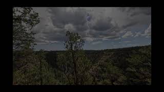Return Trip update 8-4-2026