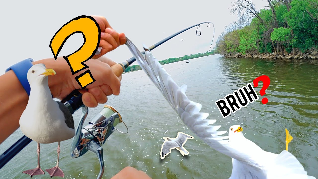 I Caught a BIRD 🐦 ❓ AND a Random Surprise Catch