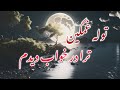 توله غمگین ترا در خواب دیدم