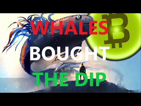 Crypto News. Whales
