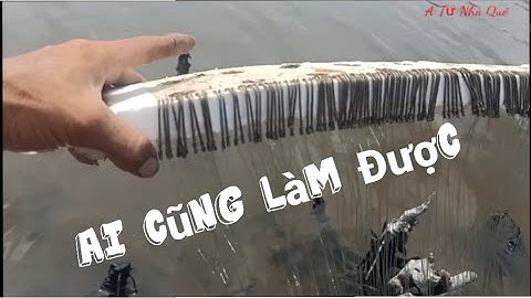 Hướng Dẫn Giăng Câu Trời, Đơn Giản, Chi Tiết . Ai Cũng Làm Được