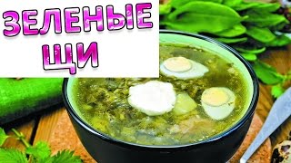 Зеленые щи Зеленые щи