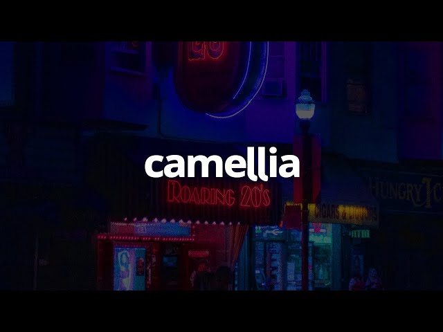 slchld - camellia (Lyrics) class=