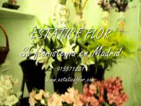 Estatice Flor, floristera en Madrid