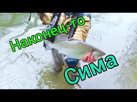 НАКОНЕЦ-ТО ПОШЛА СИМА