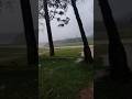 കരിയാത്തും പാറയിൽ മഴയത്തും പാറാം♥️♥️#kariyathumpara#trending#viral#rainyday#vibes#kozhikode