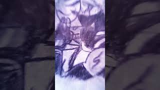 Kakashi Hatake in Anbu Black Ops Kakashi Hatake in Anbu Black Ops