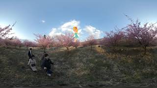 Pixpress
