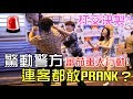 [MiHK]【突發】Cotton & Gordon大打出手🚨 連合作客戶都敢Prank🔥？ - 蕃茄蛋大行動