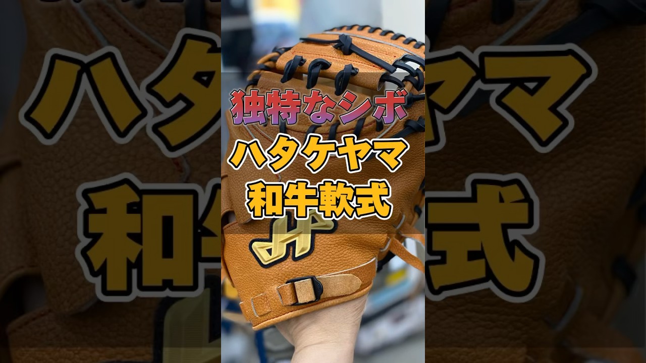 今年もやります】2024年ハタケヤマの和牛軟式シリーズが6月に帰ってき
