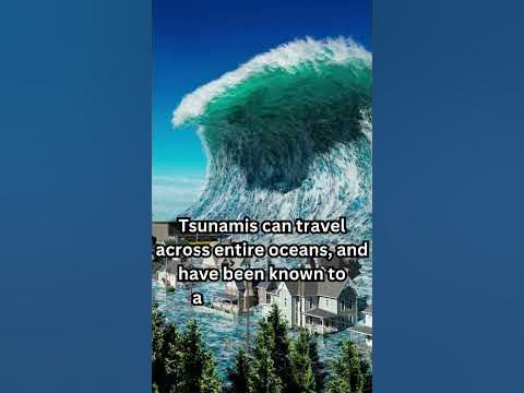 Tsunami incredible