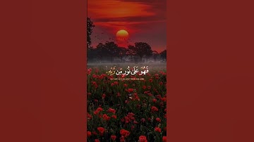 تلاوة خاشعة من سورة الزمر بصوت ياسر الدوسري #قران #أرح_نفسك4u #قران_كريم  #🤲🏻#راحة_نفسية_للقلب🤲📿💕