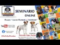 JACK RUSSELL TERRIER | SEMINARIOS ONLINE | FEAT. FERNANDA LÓPEZ SANTISO | #CHEVEREDOGS