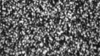 Jay Muller Futuristic