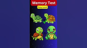 Memory Test 17
