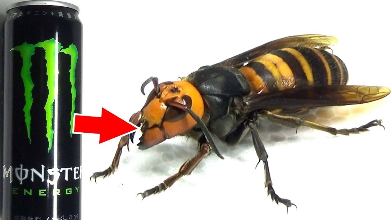 おーちゃんねるの顔バレ画像を調査 正体は月収500万稼ぐyoutuberだった