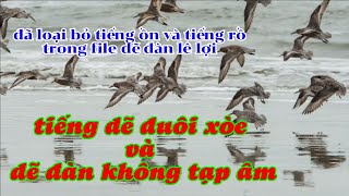 tiếng dẽ đuôi xòe và dẽ đàn ( lê lợi ) 2 vế chuẩn . Tải về dùng được luôn