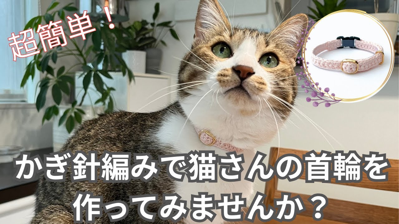 かぎ針編みのハンドメイド首輪の作り方紹介！首輪を嫌がる猫さんにも