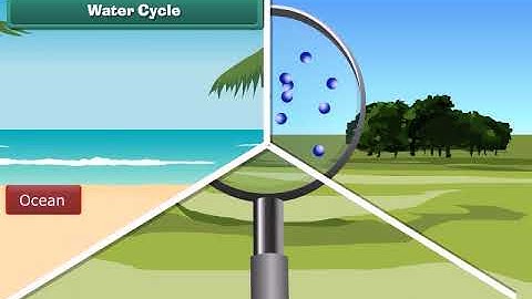 NCERT Class 5 English Medium, Science Chapter - 1 Air, Water and Weather