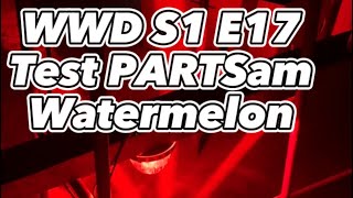 WWD S1E17 circuit tester on PARTSam watermelon lights