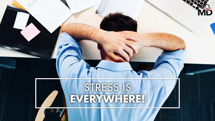 Stress Is Everywhere! | Dr. Ken Hopper | Top10MD