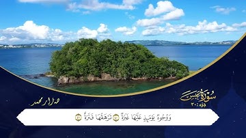 سورة (عبس) و سورة(التكوير) بصوت القاريء : هژار محمد بمقام الصبا