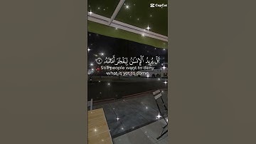 تلاوة خاشعة عطرة مباركة للشيخ سعد الغامدي ماتيسر من سورة القيامة