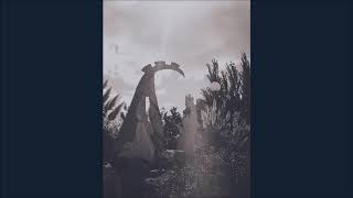 BIENVENIDOS A LOBERIA PROV DE BS AS ARGENTINA