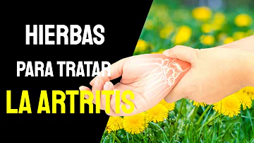 ¿Cuál es la hierba más potente para la artritis?